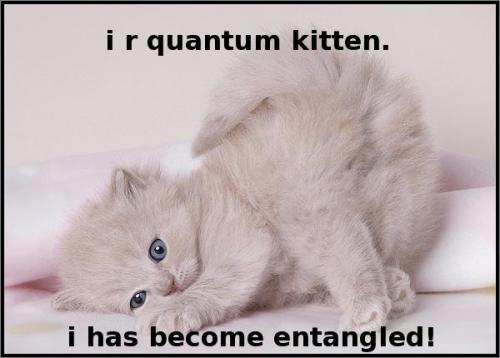 [lolcat]