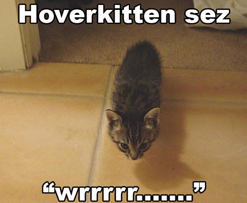 [lolcat]