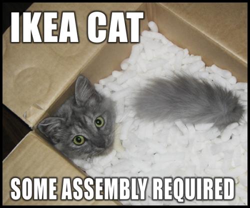 [lolcat]