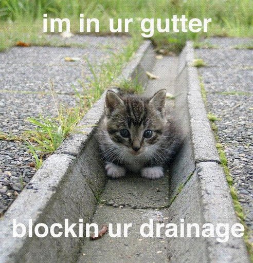 [lolcat]