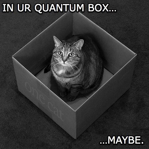 [lolcat]